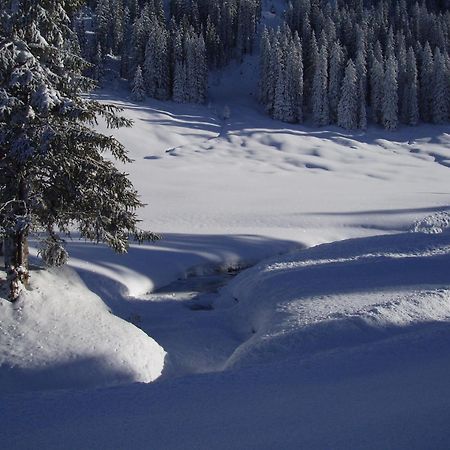 Hotel Des Alpes Адельбоден Экстерьер фото