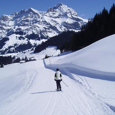 Hotel Des Alpes Адельбоден Экстерьер фото