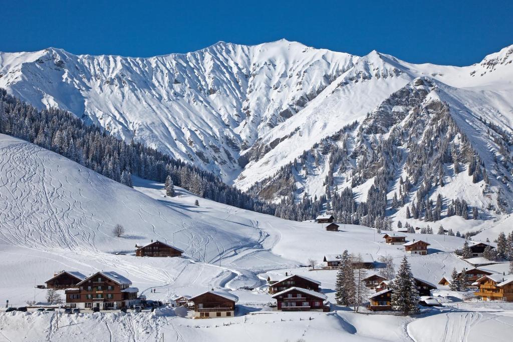 Hotel Des Alpes Адельбоден Экстерьер фото