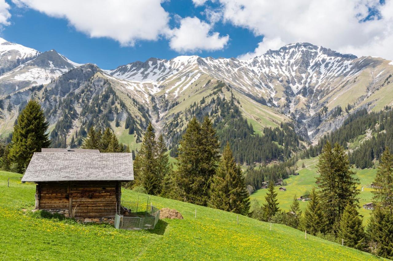Hotel Des Alpes Адельбоден Экстерьер фото